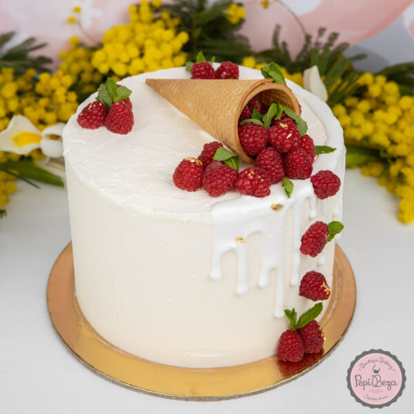 raspberry party cake