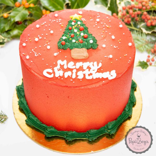 Merry Christmas Cake