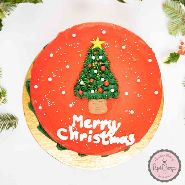 Merry Christmas Cake